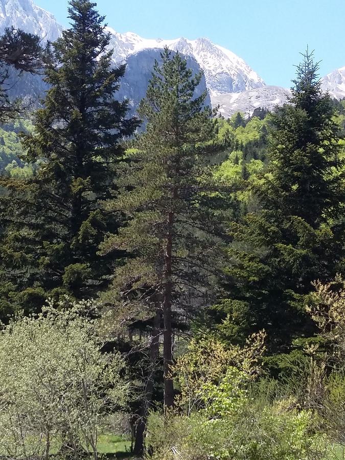 Hospederia Prepirineo Hotel Undues-Pintano Bagian luar foto